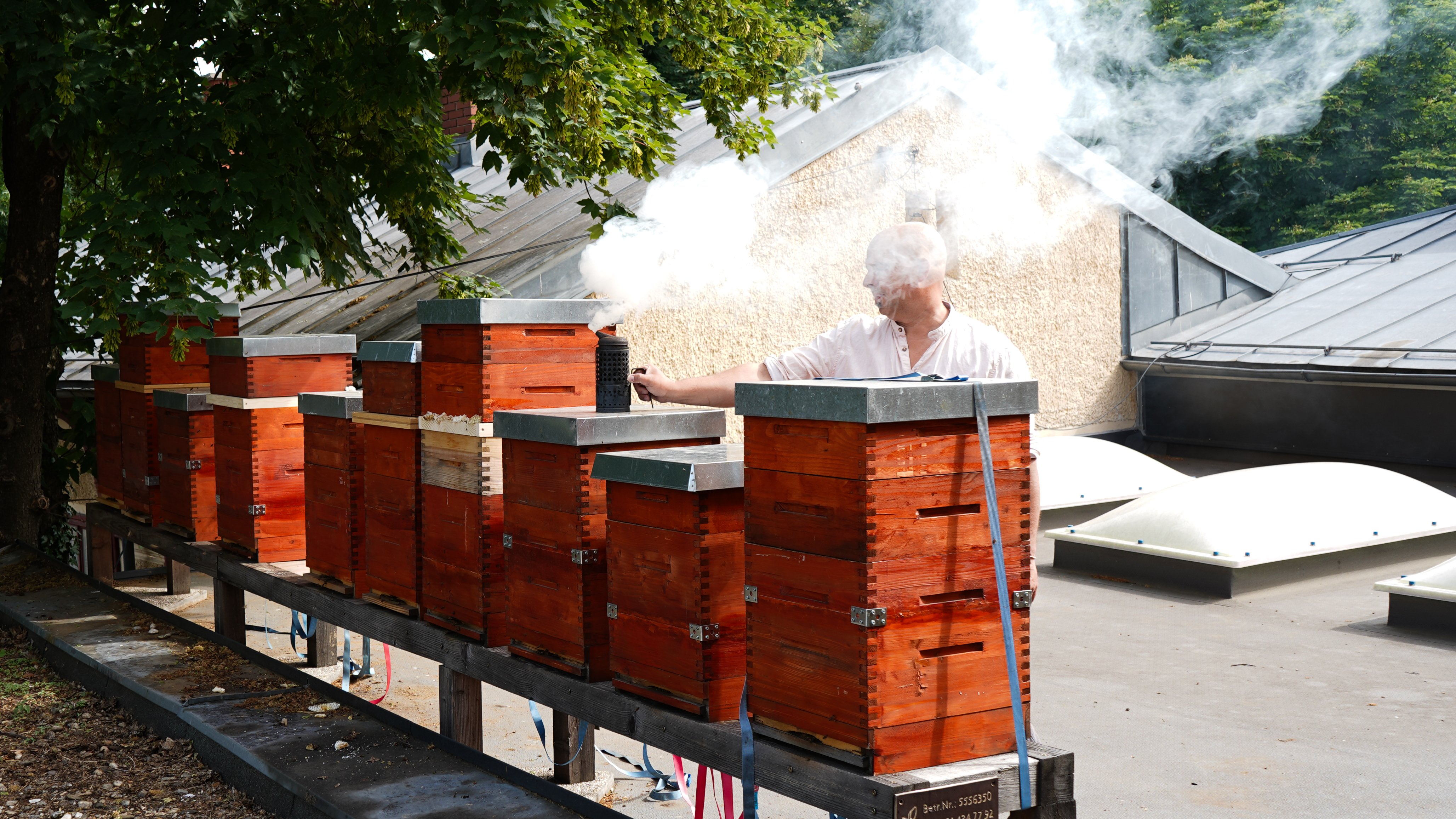 Imker bei Bienenstoecken auf einem Stadtdach