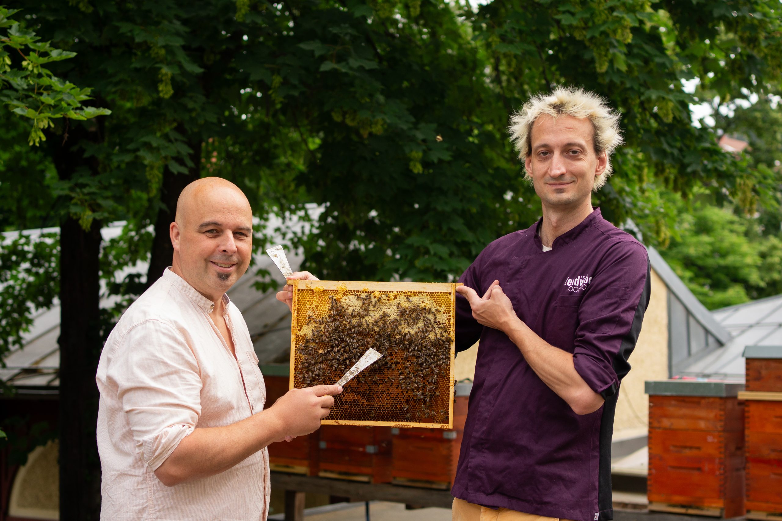 Reinhardt und Richard halten gemeinsam eine Bienenwabe im Freien